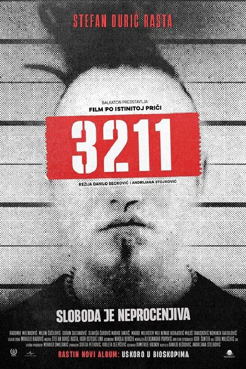 3211 movie poster