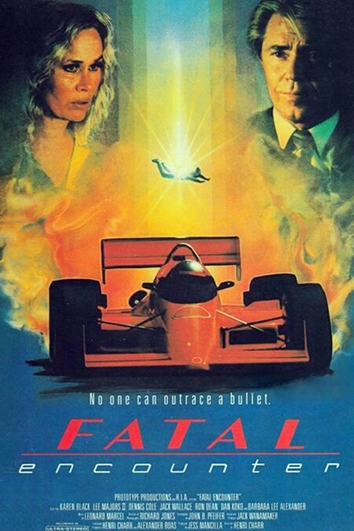 Fatal Encounter movie poster