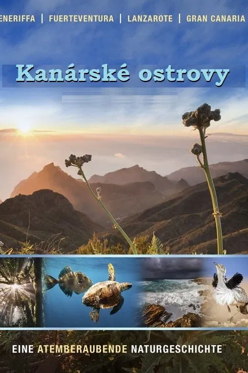 Die Kanarischen Inseln tv show poster