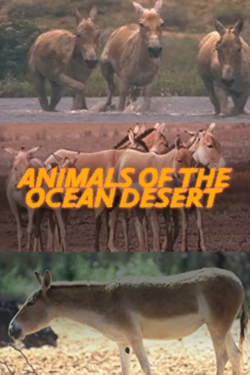 Animals of the Ocean Desert movie poster