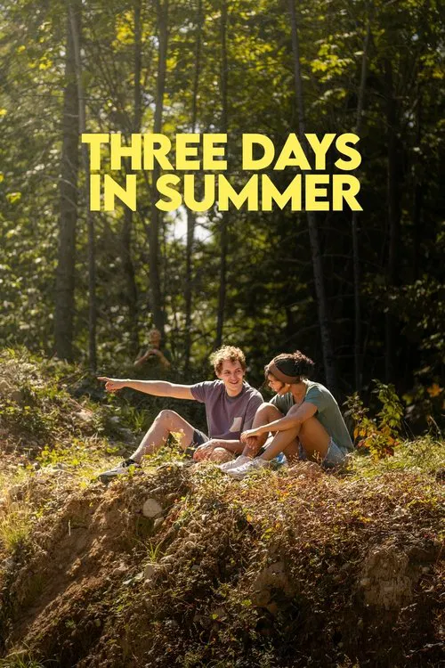 Three Days in Summer movie poster