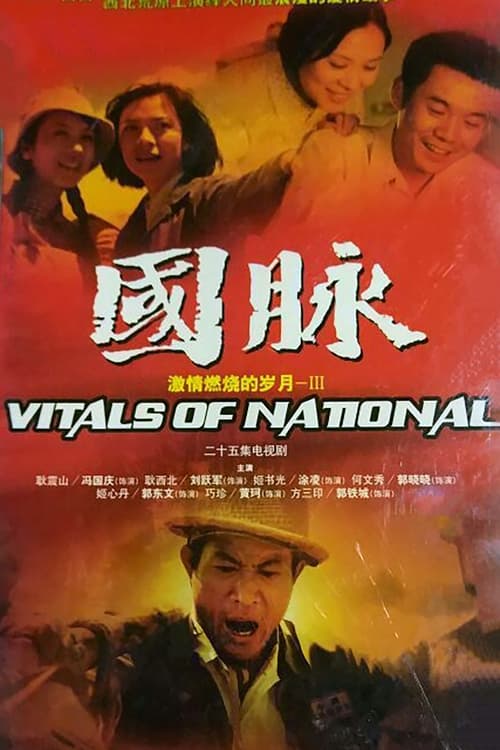 激情燃烧的岁月3 tv show poster