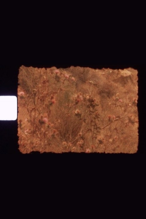 Poster do filme (re)garde-moi