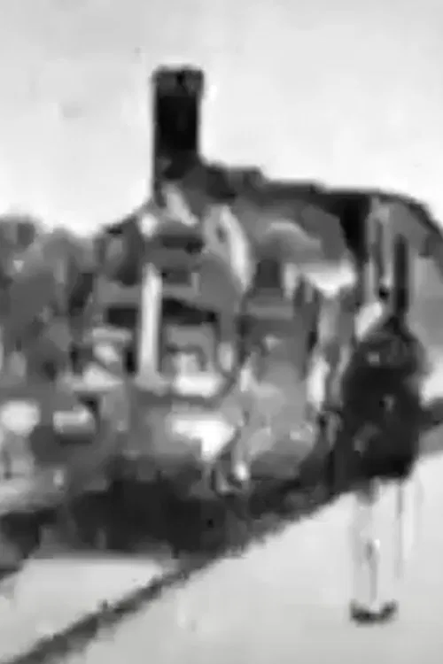 Arrival of a Train (Joinville Station) movie poster