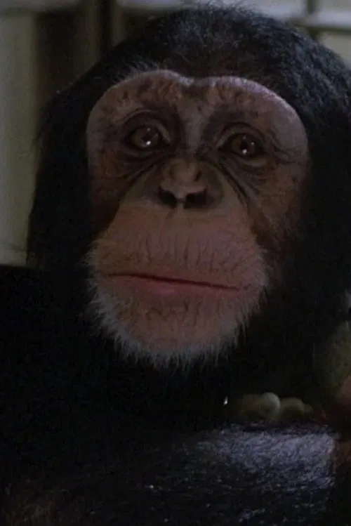 Willie profile picture