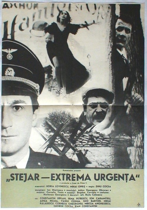 Stejar, extremă urgență movie poster