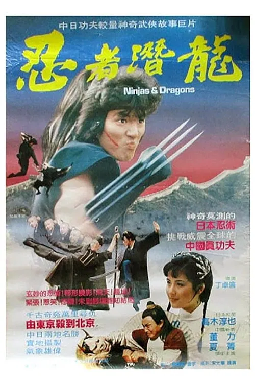 Ninjas and Dragons movie poster