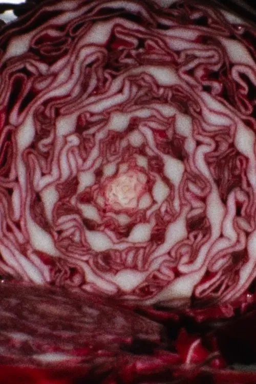 Cabbage movie poster
