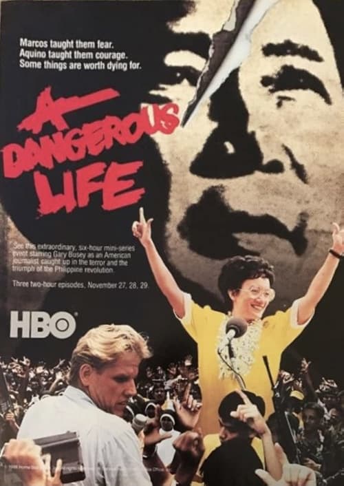 A Dangerous Life tv show poster