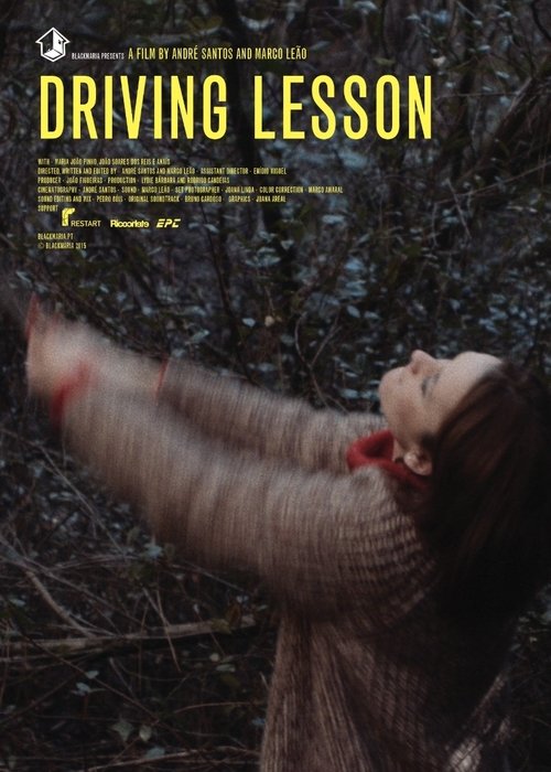 Driving Lesson movie poster