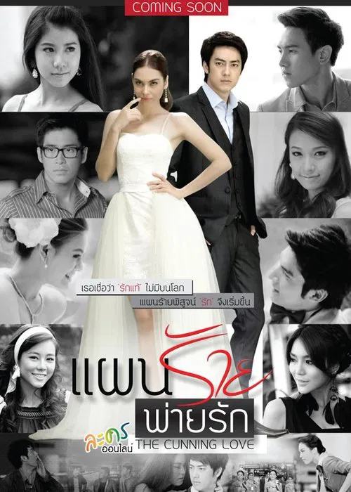 The Cunning Love tv show poster