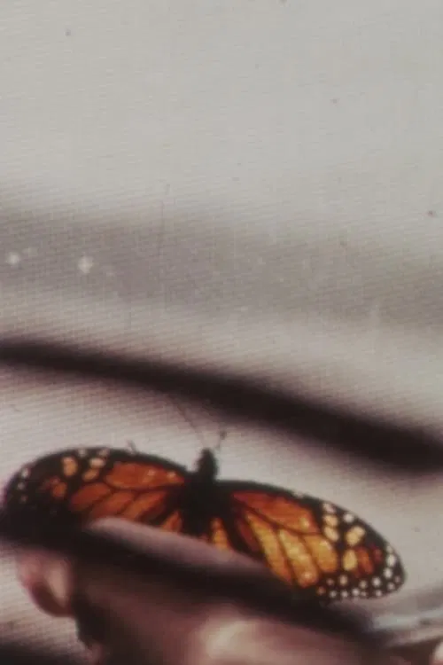 The Butterfly movie poster