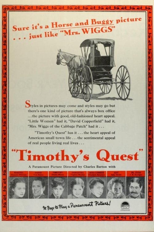 Timothy's Quest movie poster