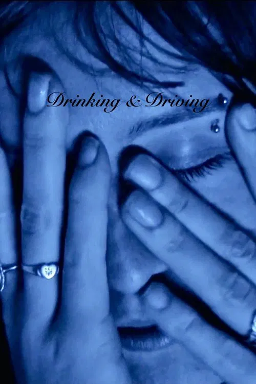 Drinking and Driving movie poster