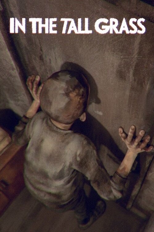 Poster do filme In The Tall Grass