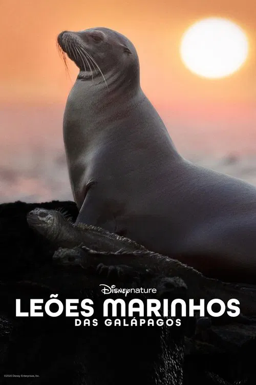 Poster do filme Leões-Marinhos de Galápagos