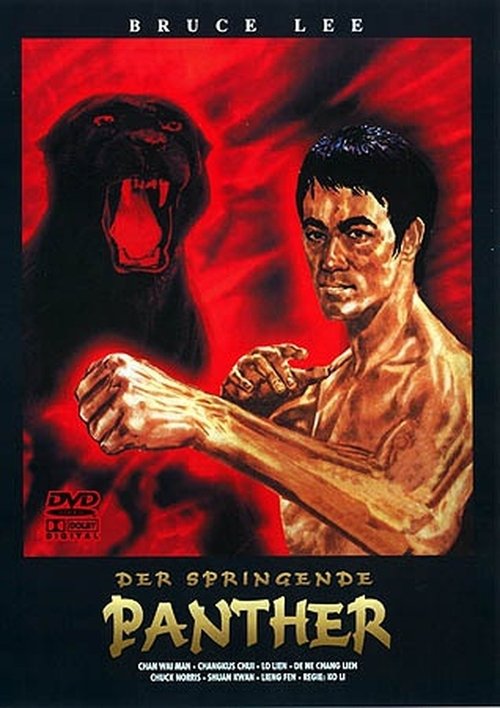 The Fist of Justice movie poster