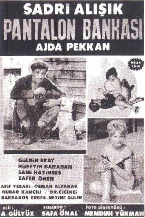 Poster do filme Pantolon Bankası