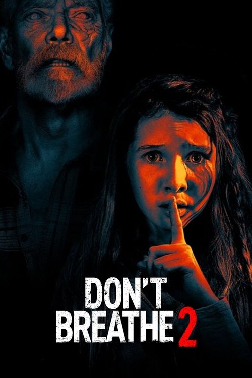 Don't Breathe 2 movie poster