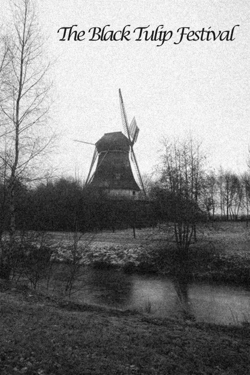 The Black Tulip Festival movie poster