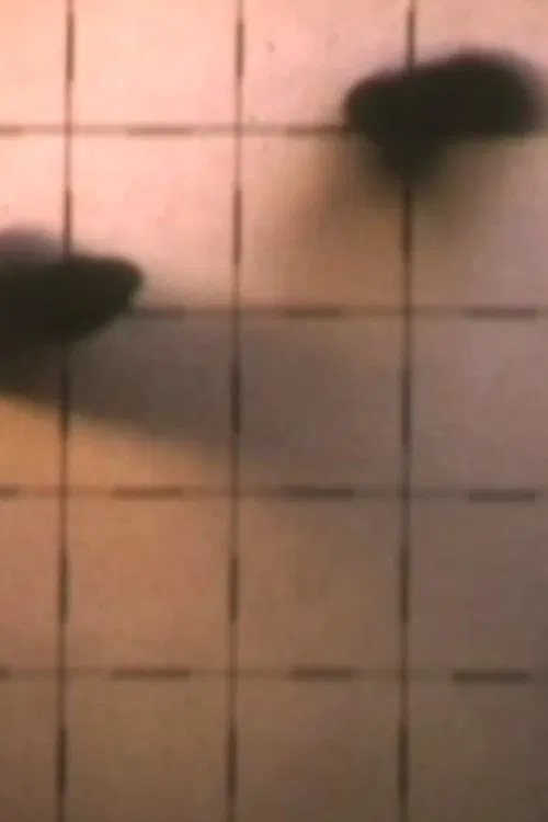 2nd Floor Film movie poster