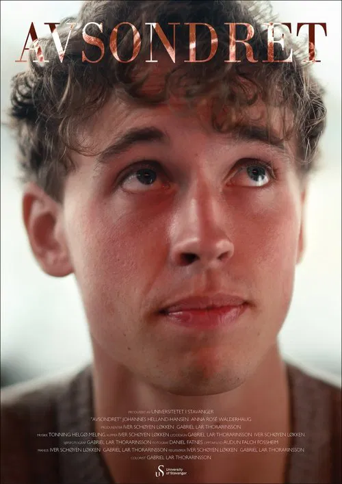 Secluded movie poster