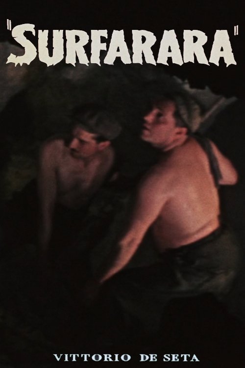 Surfarara movie poster