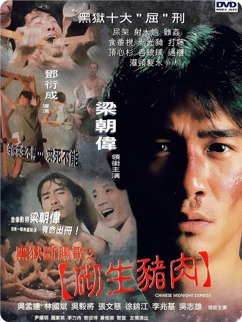 Chinese Midnight Express movie poster