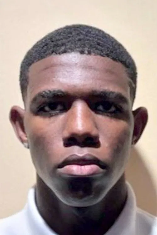 Adlay Rodriguez profile picture