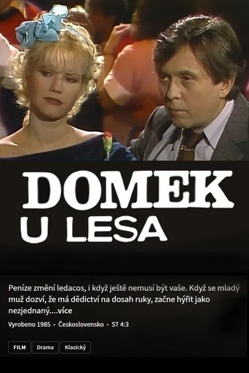 Domek u lesa movie poster