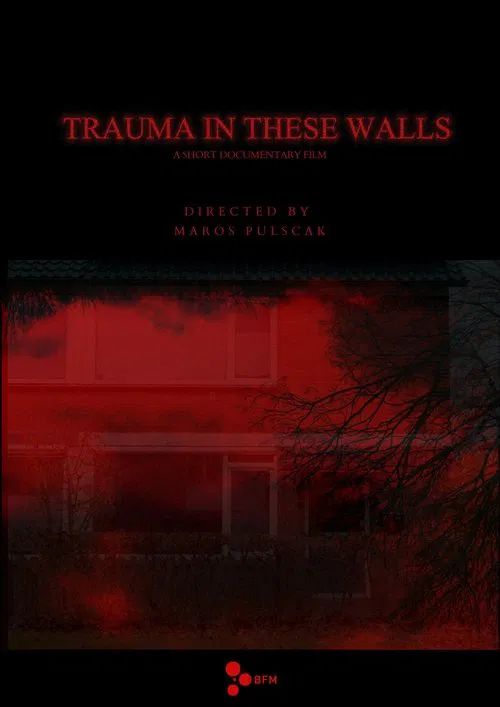 Trauma in These Walls movie poster