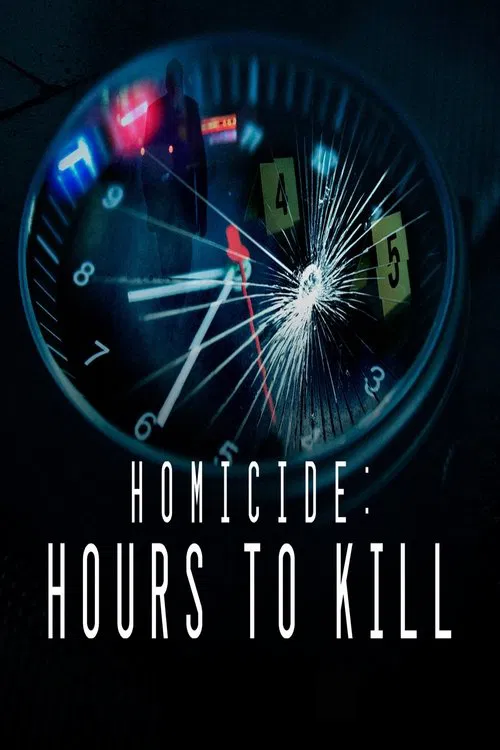 Homicide: Hours to Kill tv show poster