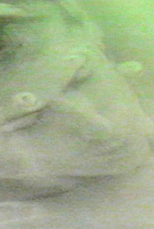 finally destroy us movie poster