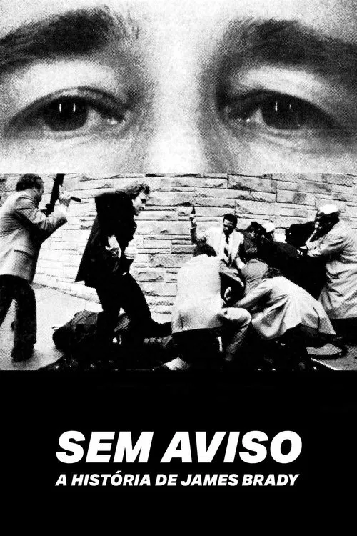 Poster do filme Sem Aviso: A História de James Brady