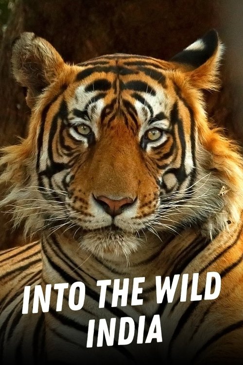 Into the Wild: India tv show poster