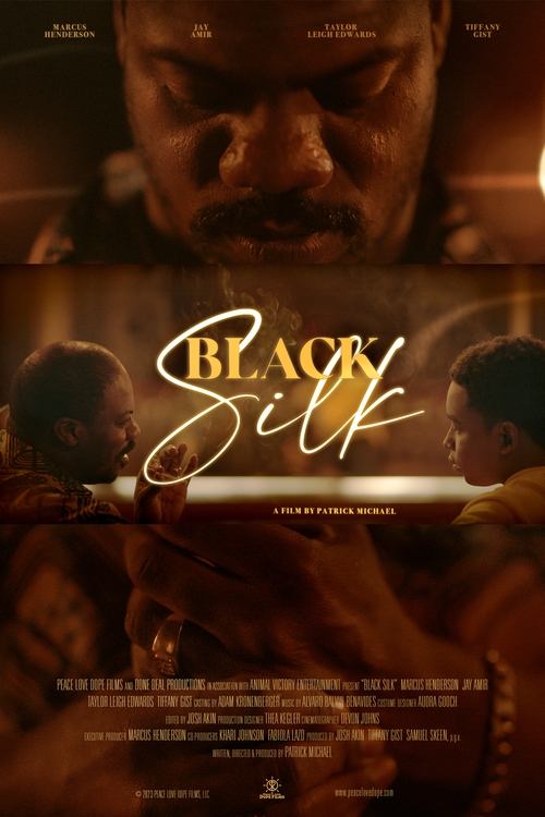 Black Silk movie poster