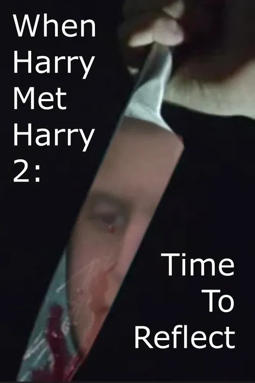 Poster do filme When Harry Met Harry 2: Time To Reflect