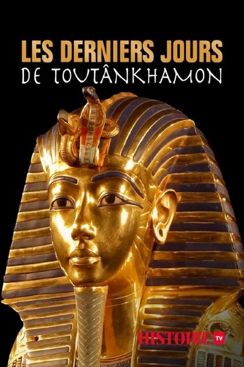 Tutankhamun with Dan Snow tv show poster