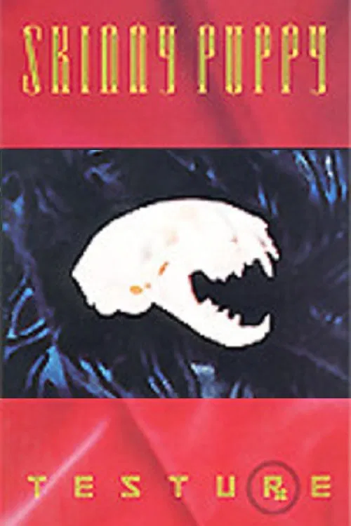 Testure movie poster