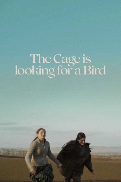The Cage is Looking for a Bird movie poster