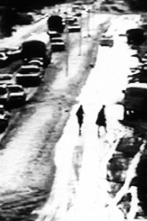 Poster do filme Going to Work