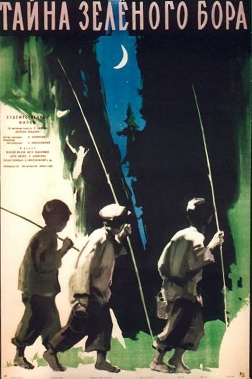 The Secret of the Green Forest movie poster