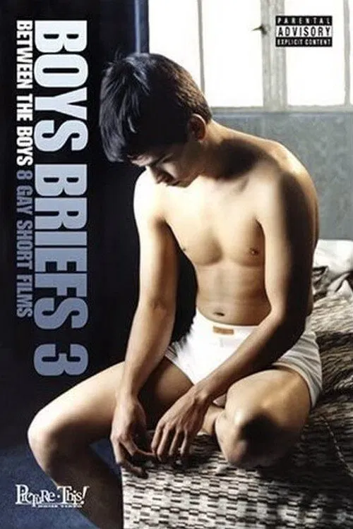 Boys Briefs 3: Between the Boys movie poster