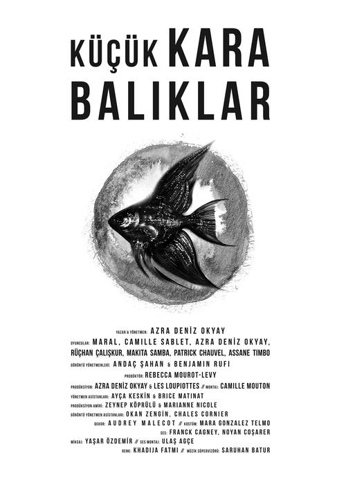 Little Black Fishes movie poster