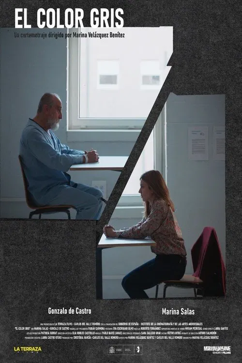 Poster do filme El color gris