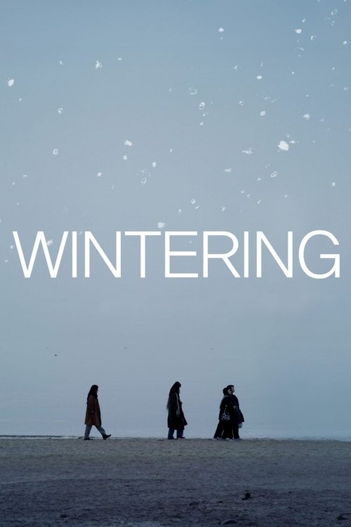 Wintering movie poster