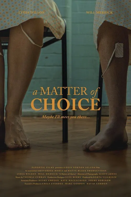 A Matter of Choice movie poster