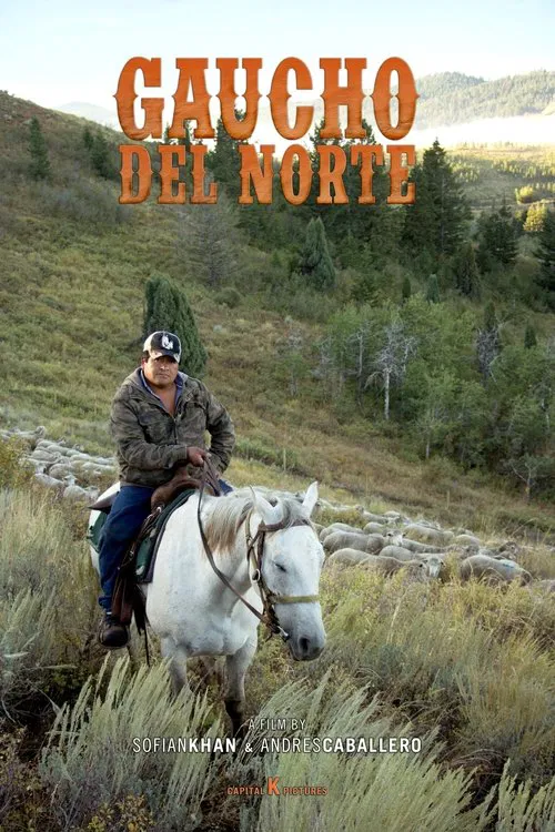 Poster do filme Gaucho del Norte