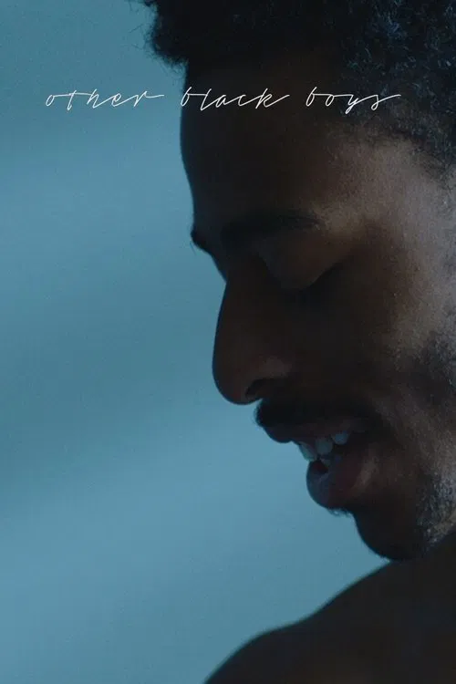 Other Black Boys movie poster