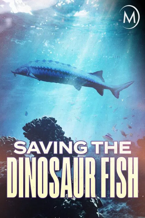 Poster do filme Saving the Dinosaur Fish